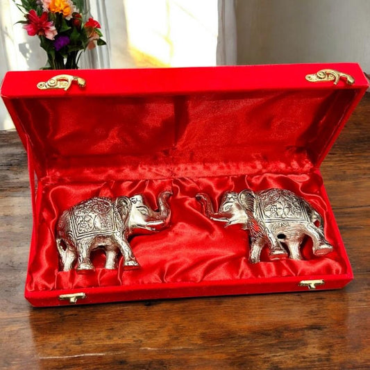 Elephant set wih Box