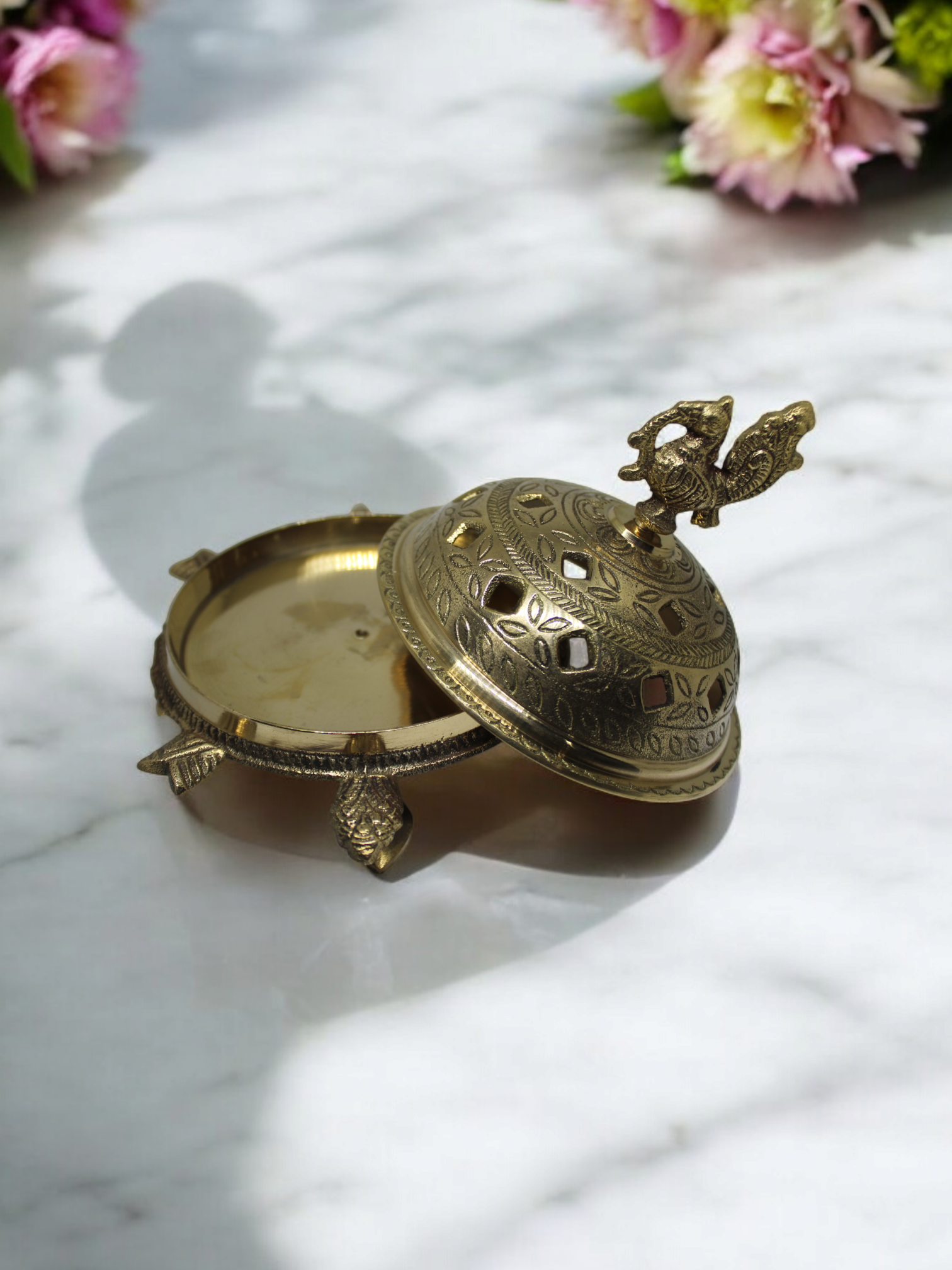 vastu tortise dani